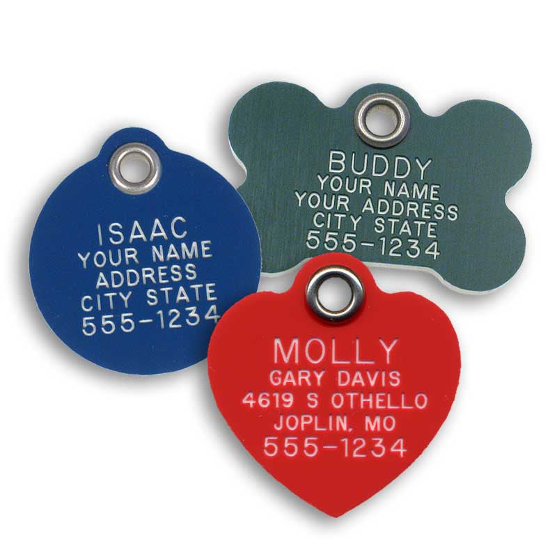 A blue round plastic tag, a green bone plastic tag, and a red heart plastic tag, all featuring personalized engraving on the front.