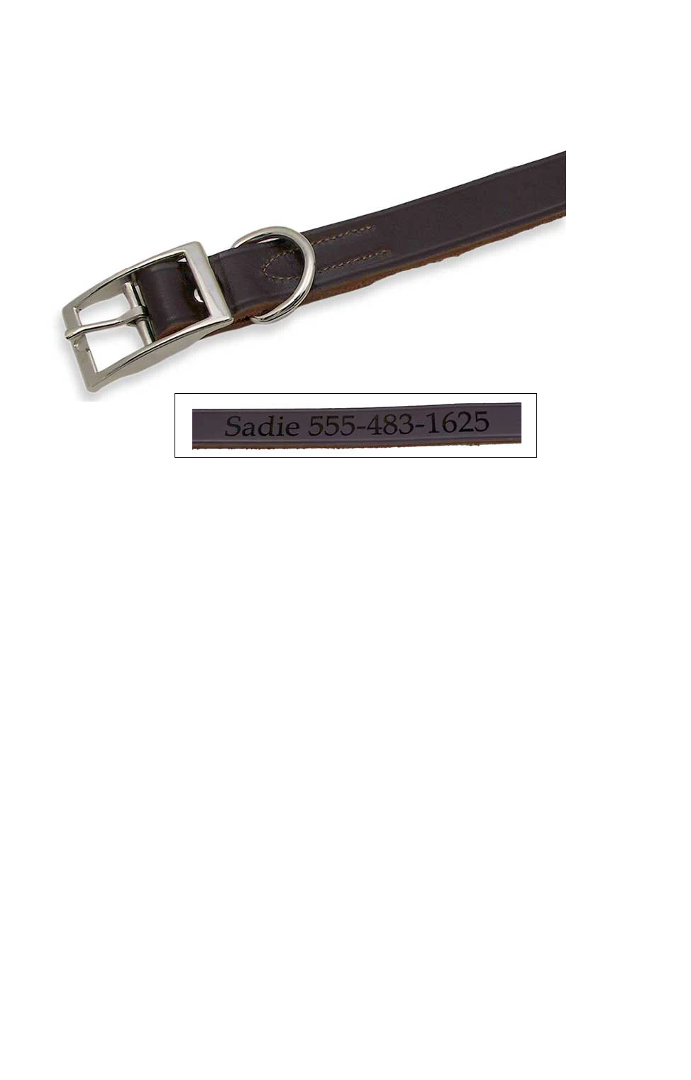 A brown leather collar with a silver metal buckle and D-ring, custom engraved with the pet name "Sadie" and a phone number.