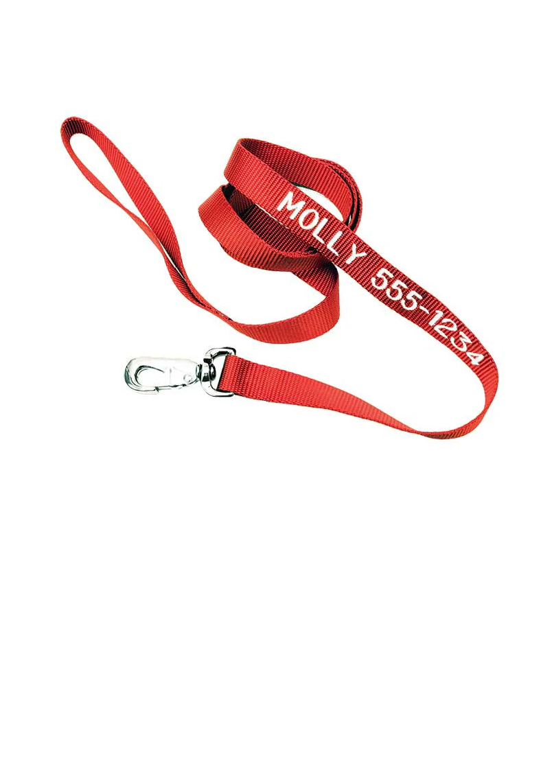 A red nylon leash with the name "Molly" and a phone number embroidered in white stitching.