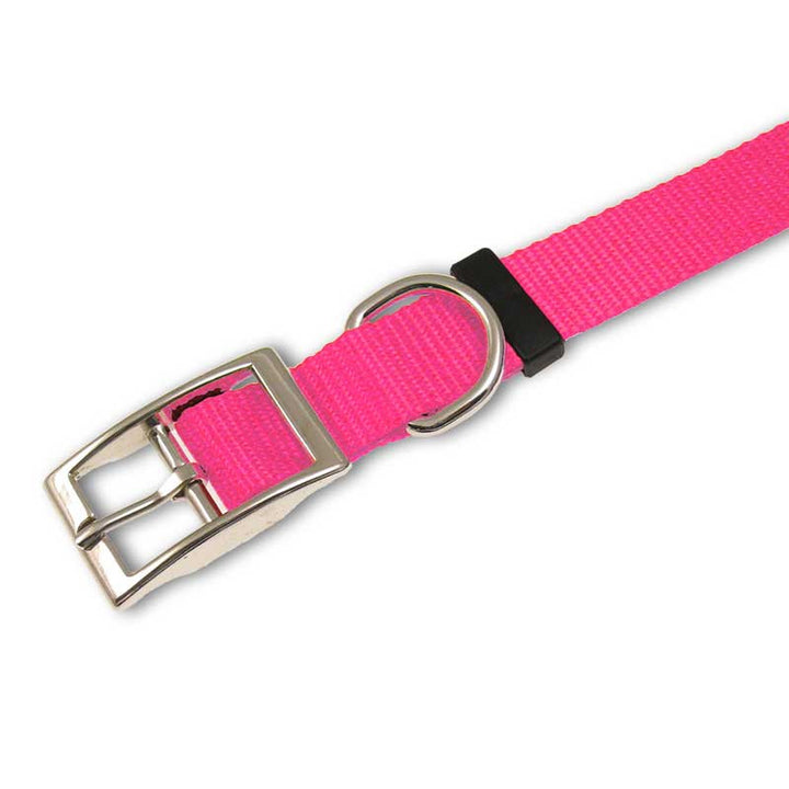 Traditional Dog Collar - 1" Width,  - Lucky Pet