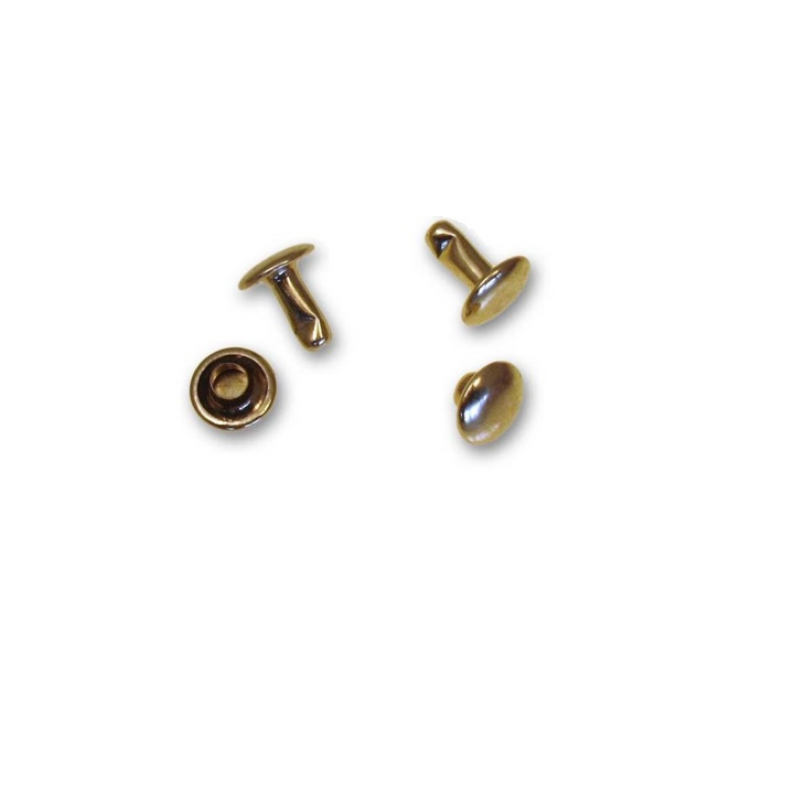 Brass rivet set featuring two gold colored rivets and two gold colored caps.